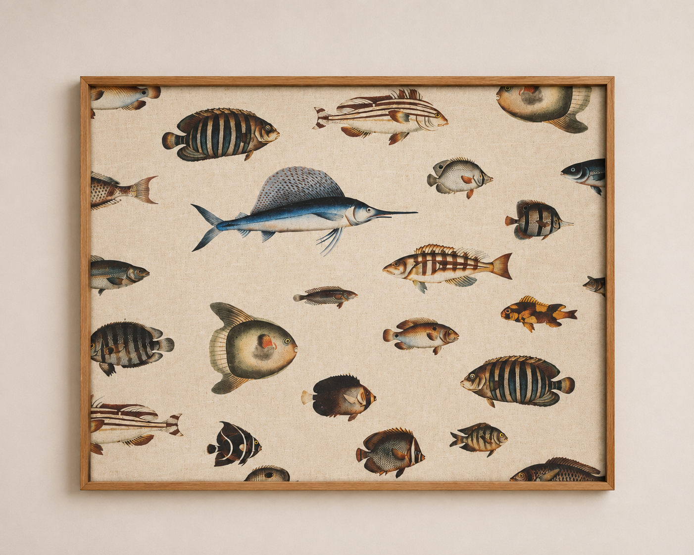 FAUNA MARINA